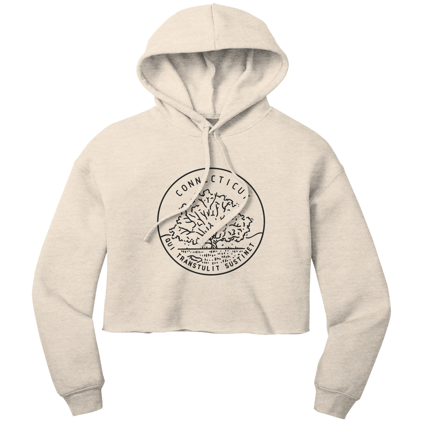 Connecticut State Motto Crop Hoodie