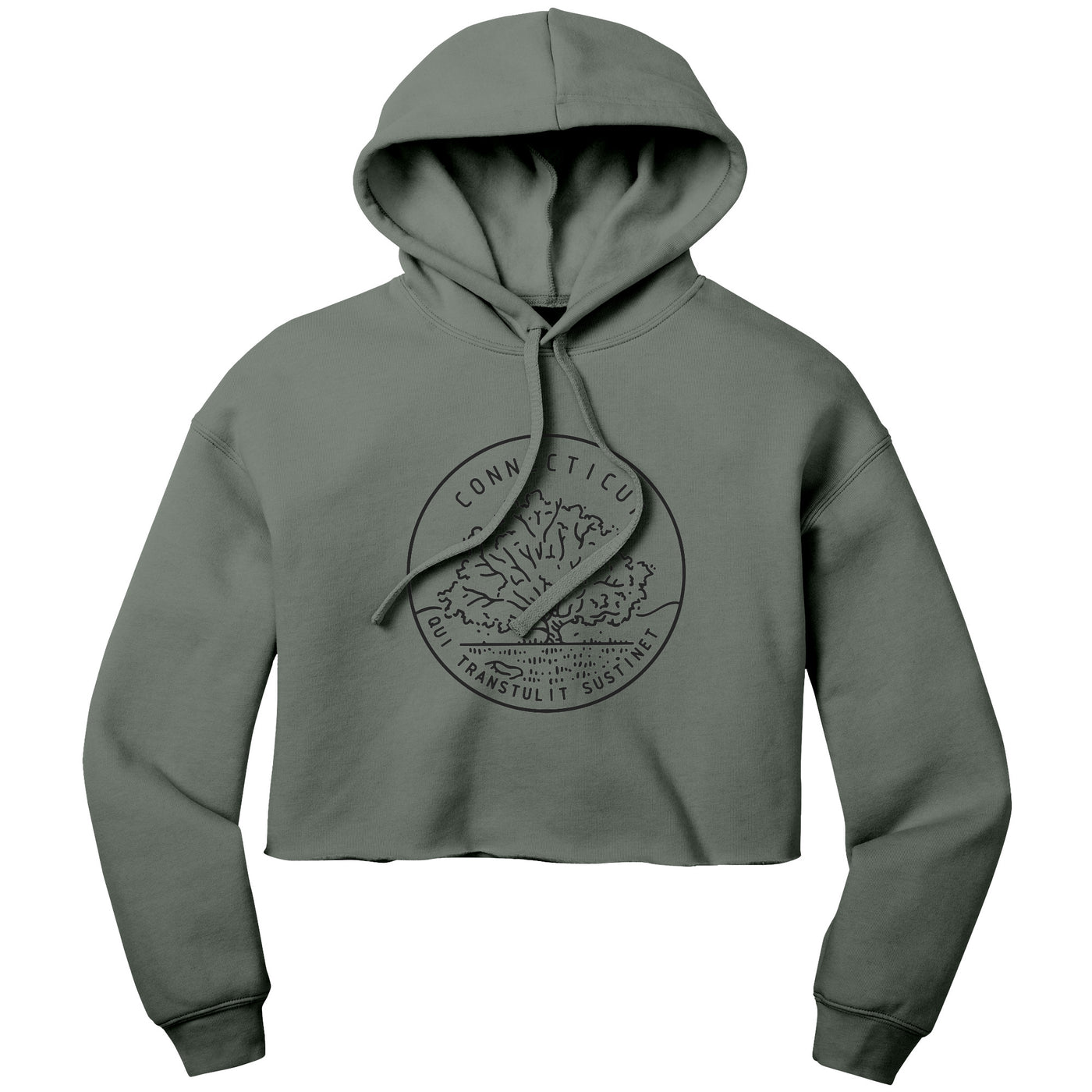 Connecticut State Motto Crop Hoodie